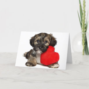 Lover Valentine Havanese Puppy Dog Holiday Card