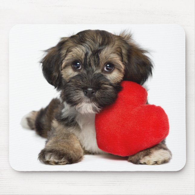 Lover Valentine Havanese Puppy Dog Mouse Pad (Front)