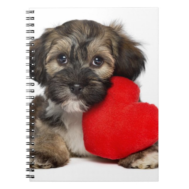 Lover Valentine Havanese Puppy Dog Spiral Notebook (Front)