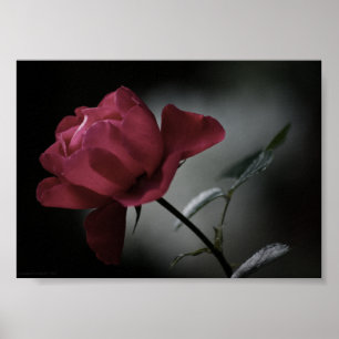 Love's Beauty Print