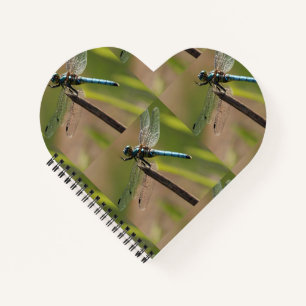 Love's Buzz Notebook