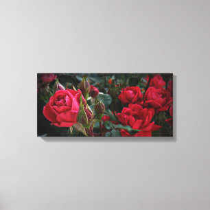 Love's Sea Of Blooms (Red Roses & Buds) Canvas Print
