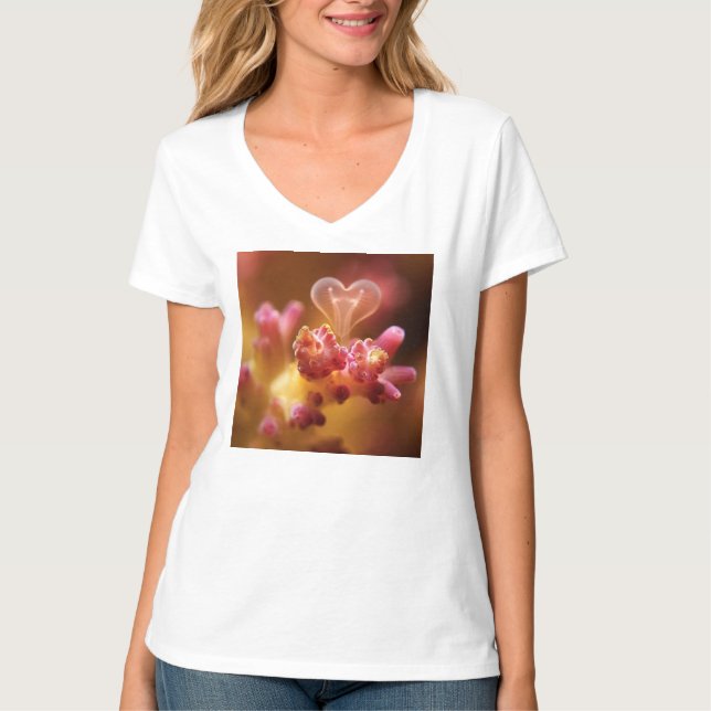 Lovestruck Corals T-Shirt (Front)