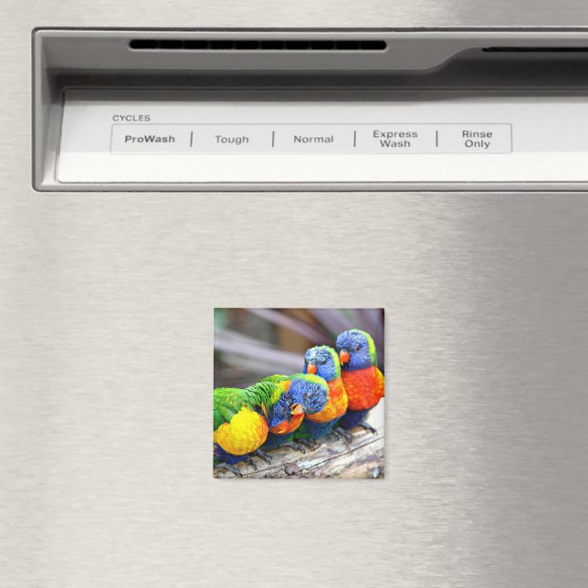Lovey-Dovey Parrots Magnet (In Situ (Dishwasher))