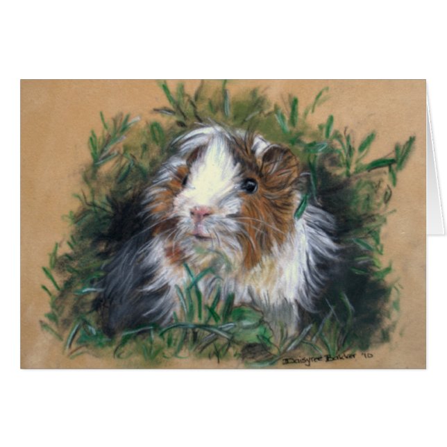 Lovin' lavender Guinea Pig/guinea-pig (Front Horizontal)
