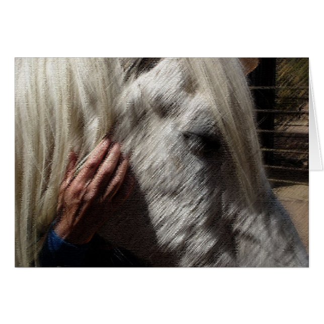 Loving a Horse (Front Horizontal)