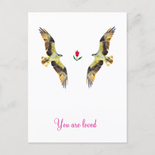Loving birds. Ospreys  Holiday Postcard