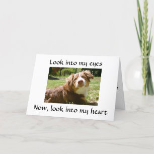 LOVING DOGGIE GIVES DETAILS ON MISSING "YOU" CARD