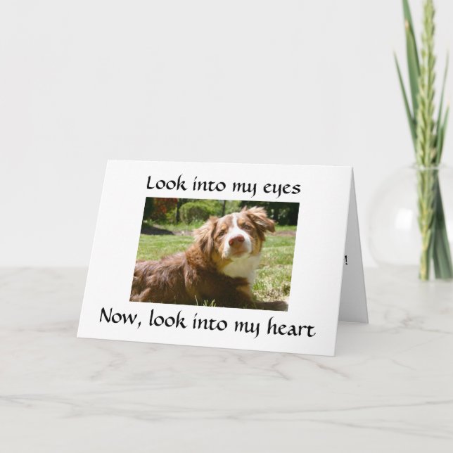 LOVING DOGGIE GIVES DETAILS ON MISSING "YOU" CARD (Front)