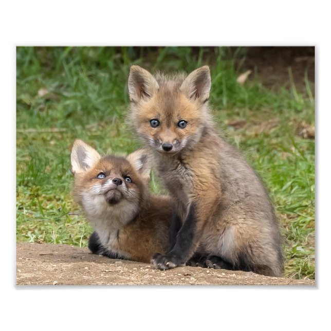 Loving Eyes Photo Print (Front)