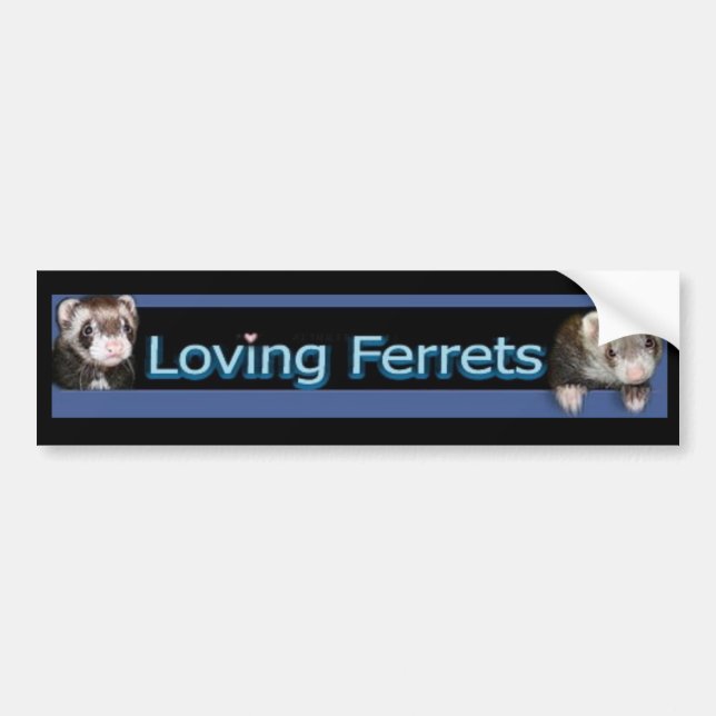 Loving Ferrets Bumper Sticker (Front)