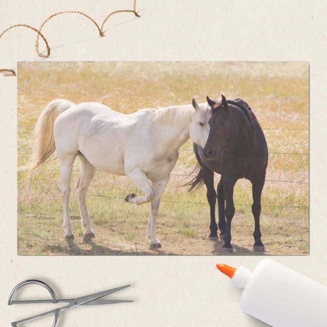 Loving Horses Tissue Paper (Creator Uploaded)