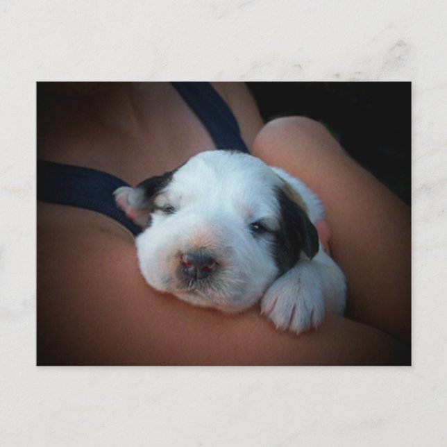 Loving Hug Postcard (Front)