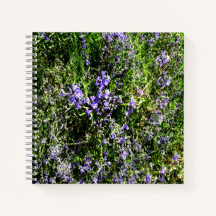 Loving Lavender..... Notebook