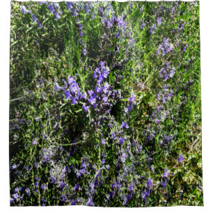 Loving Lavender..... Shower Curtain