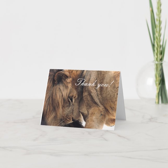 Loving Lions - Thank You Cards (Front)