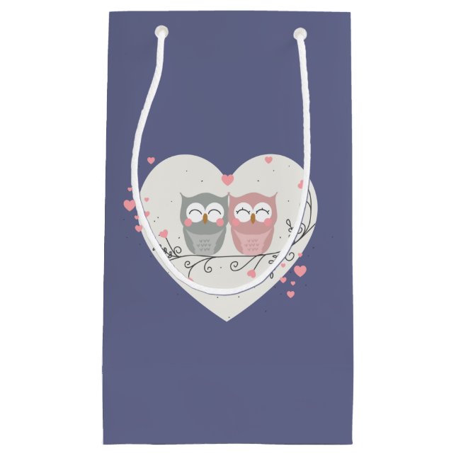 Loving Owls Valentines Small Gift Bag (Front)