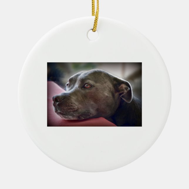 Loving Pitbull Eyes Ceramic Tree Decoration (Front)