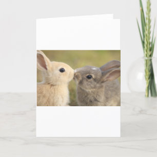 loving rabbit card