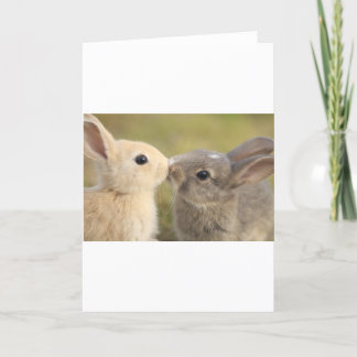 loving rabbit card