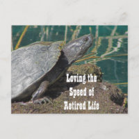 Loving Retired Life Humourous Turtle Photo Funny