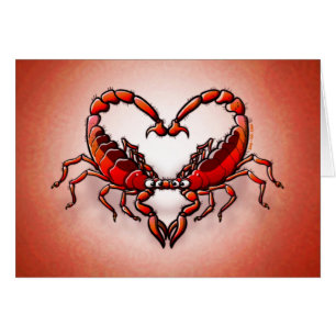 Loving Scorpions