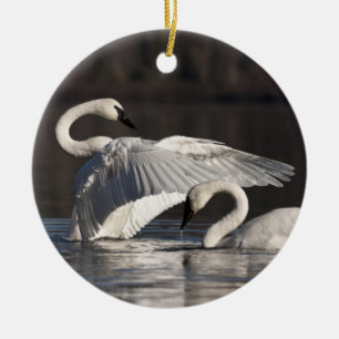Loving Swans Ceramic Tree Decoration
