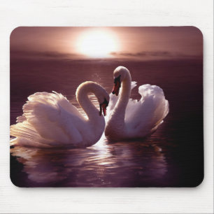 Loving Swans Forming a Heart Mouse Pad