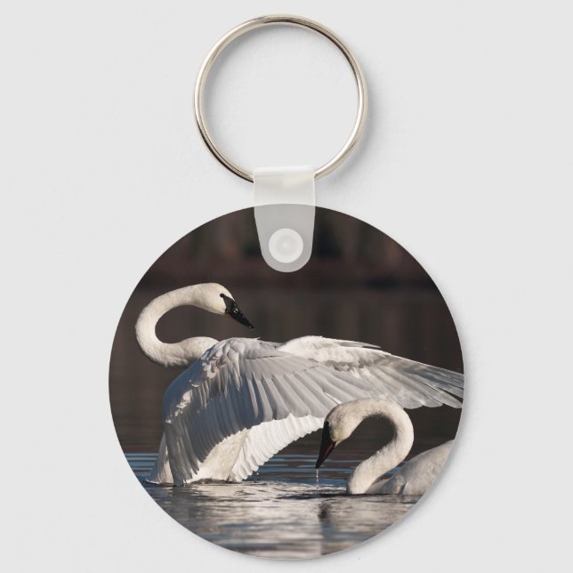 Loving Swans Key Ring (Front)