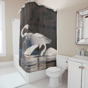Loving Swans Shower Curtain