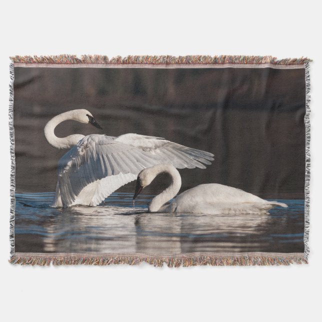 Loving Swans Throw Blanket (Front)