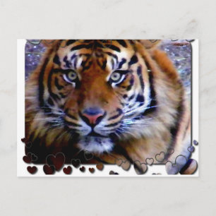 Loving You_ Postcard