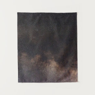 Low-angle of milky way tapestry