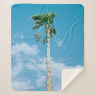 Low-angle photo of palm trees under blue sky sherpa blanket