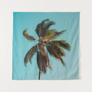 Low angle photography of coconut tree tapestry