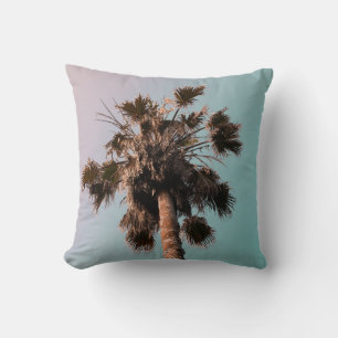 Low-angle photography of palm plant cushion