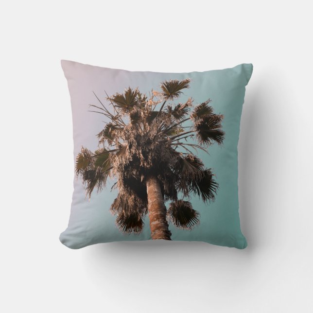 Low-angle photography of palm plant cushion (Front)
