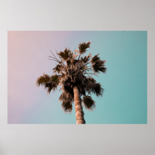 Low-angle photography of palm plant poster