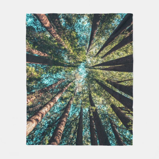 Low angle photography of trees at daytime fleece blanket (Front)