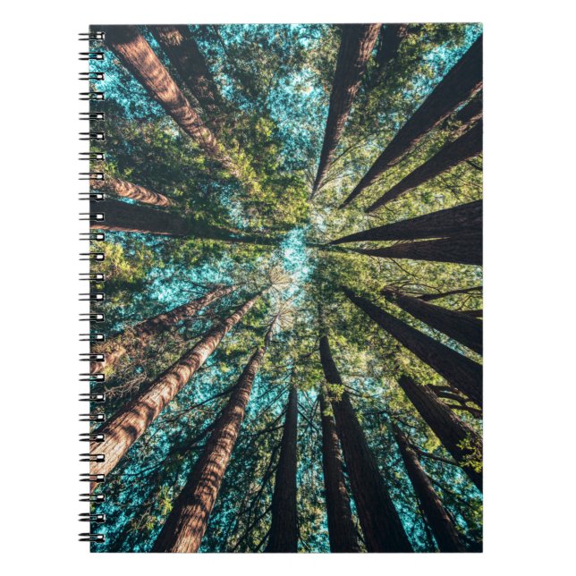 Low angle photography of trees at daytime notebook (Front)