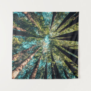 Low angle photography of trees at daytime tapestry