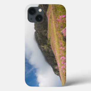 Low Angle View Of Watsonias Against The Slopes iPhone 13 Case