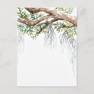 Low country watercolor invitation postcard