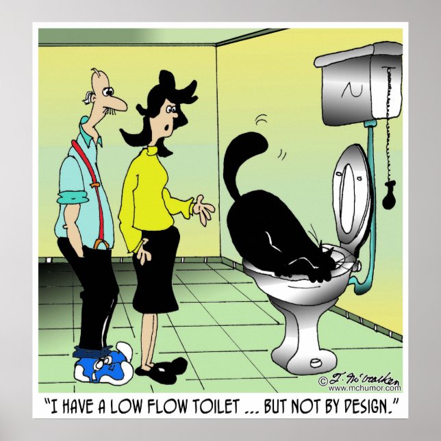Low Flow Toilets & Cats Poster (Front)