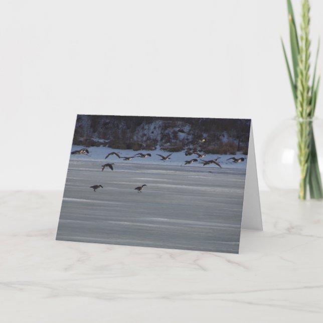 Low Flying Geese Card (Front)