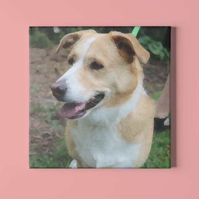 Low-Poly Shelter Dog on a Leash Canvas Print (Creator Uploaded)
