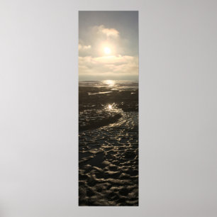 Low Tide at La Jolla Poster