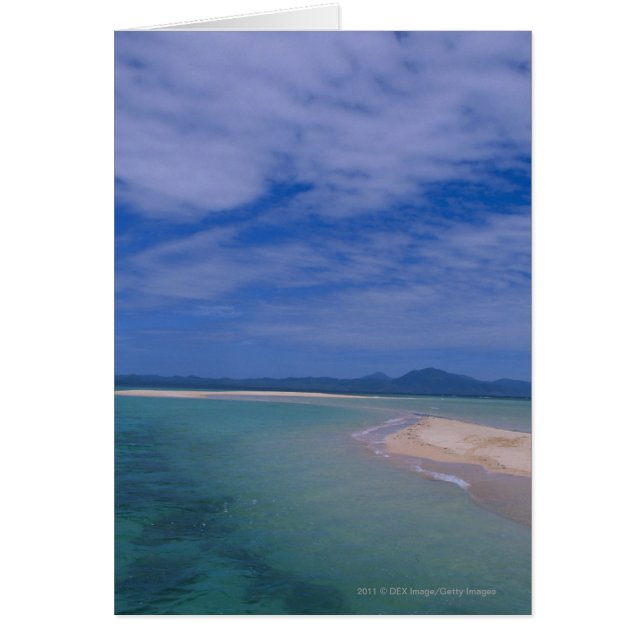 Low tide at the beach (Front)