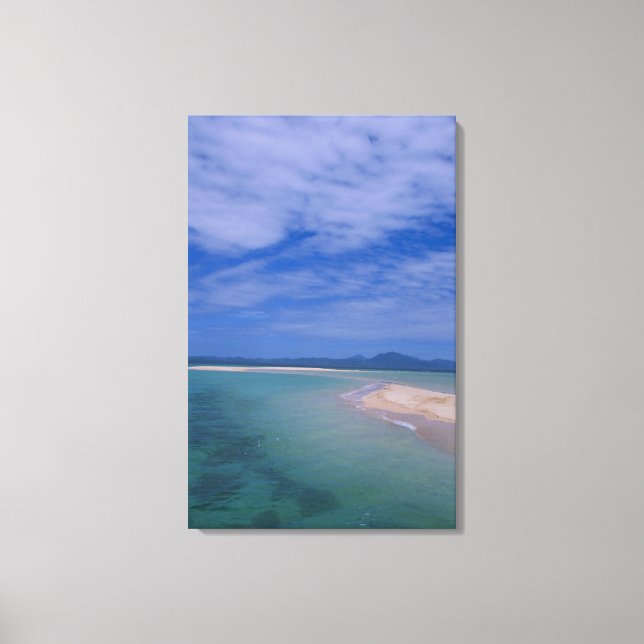 Low tide at the beach canvas print (Front)