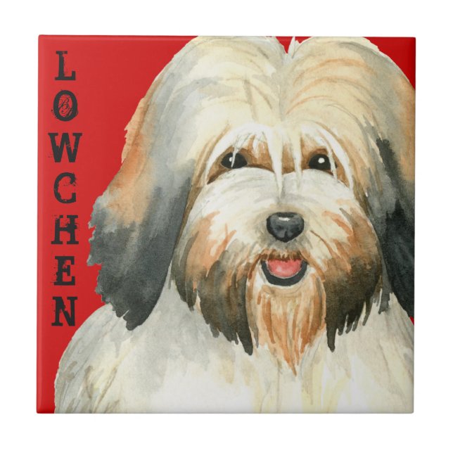 Lowchen Colour Block Tile (Front)